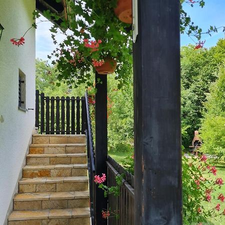 Apartman Poznanovic Rakovica Exterior photo