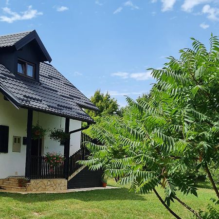 Apartman Poznanovic Rakovica Exterior photo